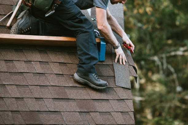 Best Roof Maintenance Services  in Bonduel, WI